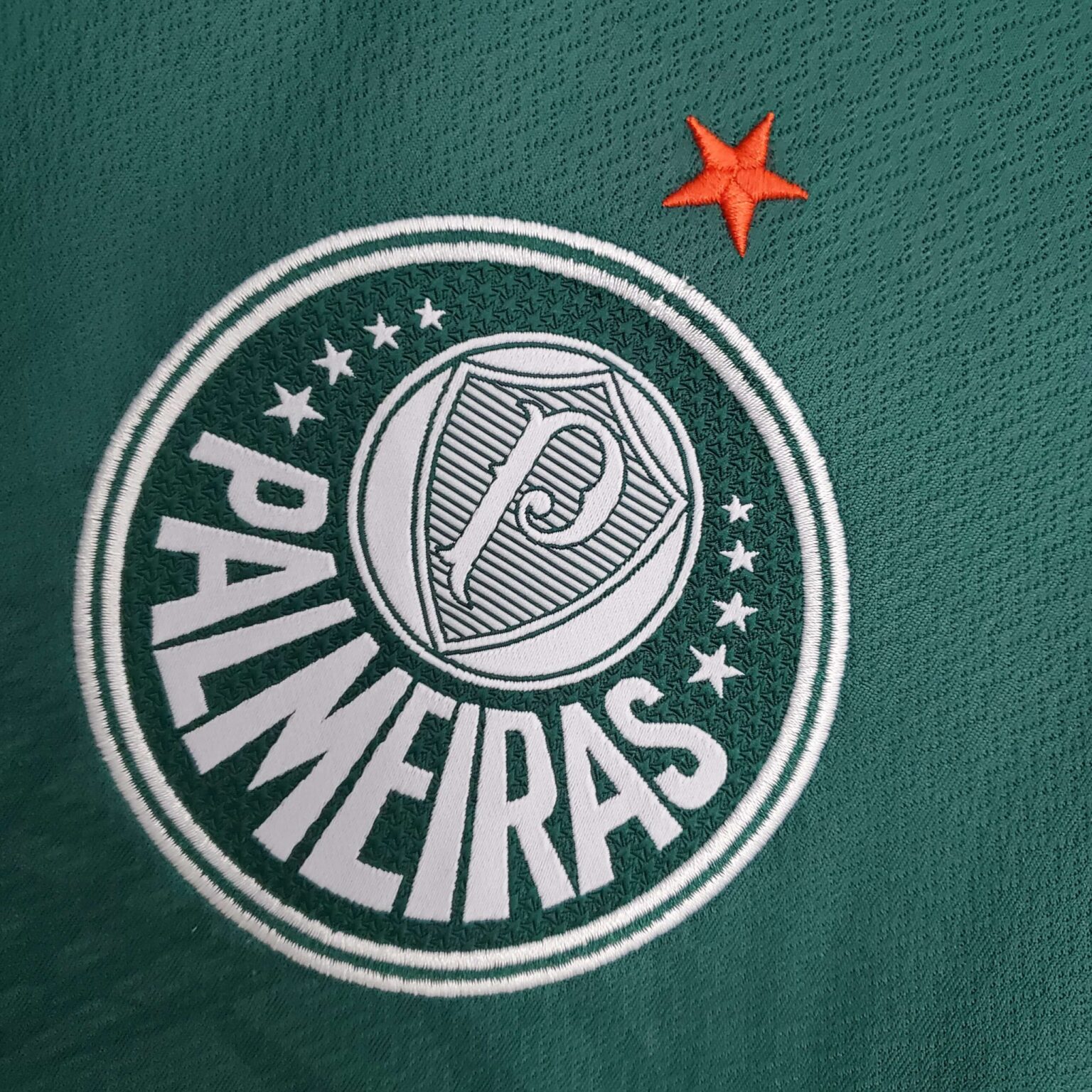 Palmeiras 22 23 Home Kit Fan Version