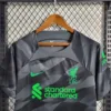 liverpool-23-24-goalkeeper-football-kit-fan-version-jersey-soccer-new-2023-2024-voetbal-shirt-camisa-cheap-pl-cl-ucl-premiere-league-england-uk-united-kingdoms-nunez-salah