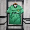 Palmeiras 23/24 Special Edition Kit